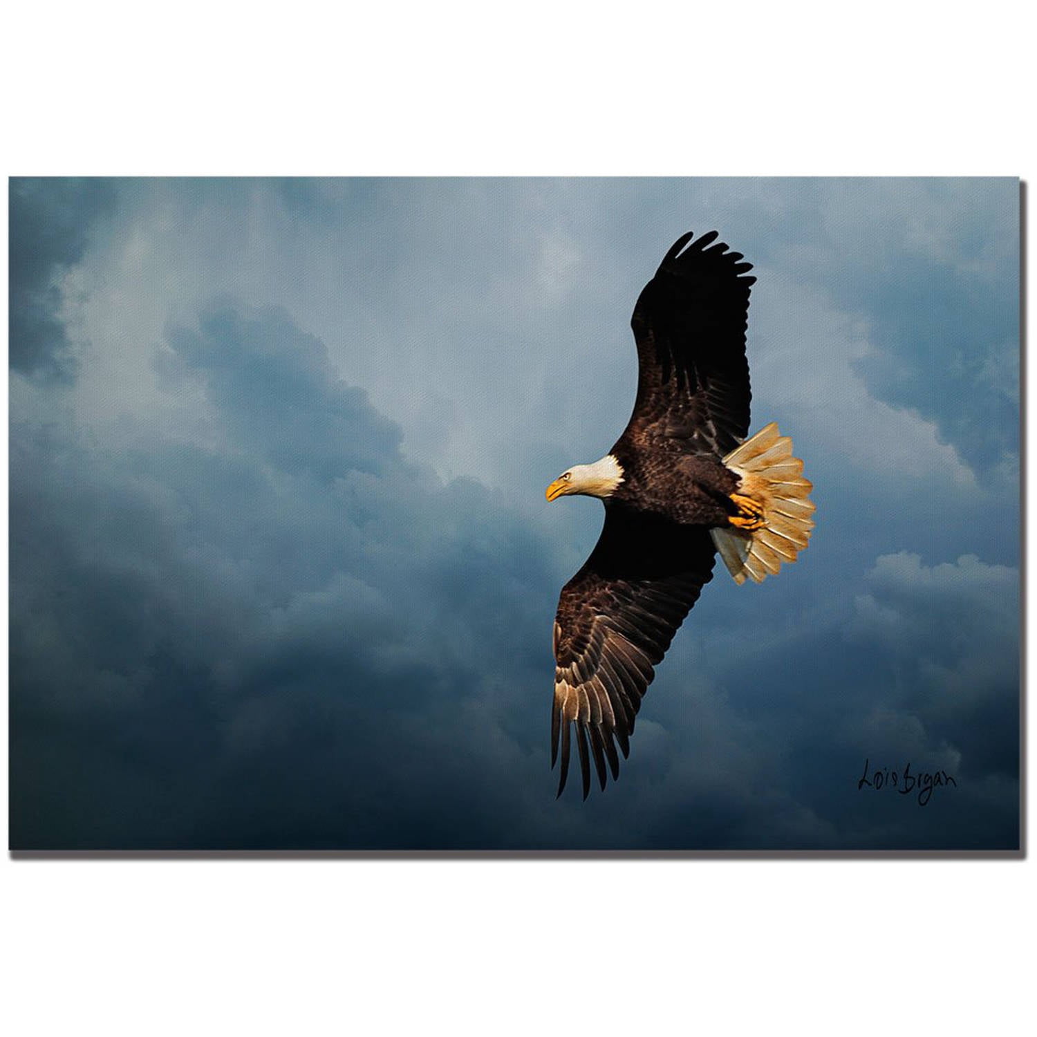 Trademark Fine Art "Eagle in the Sky" Canvas Art by Lois Bryan, 12" x 19"