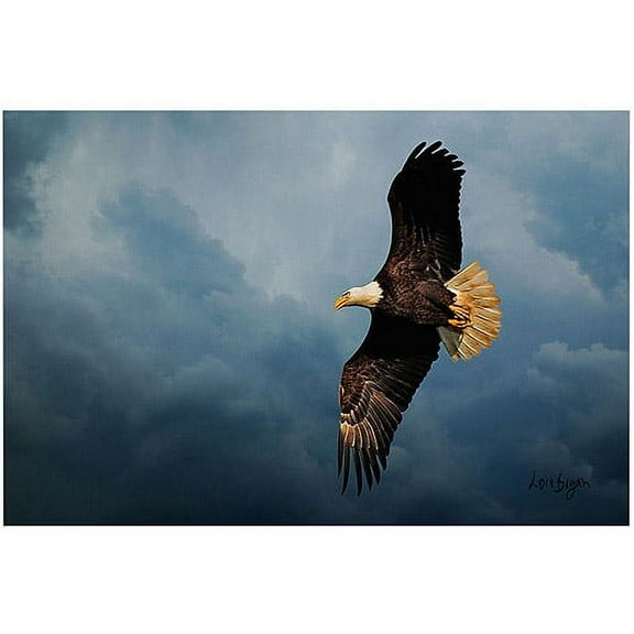 Trademark Fine Art "Eagle in the Sky" Canvas Art by Lois Bryan