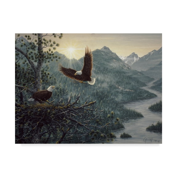 Trademark Fine Art 'Eagles Nest' Canvas Art by Jeff Tift
