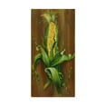 thumbnail image 1 of Trademark Fine Art 'Ear Of Corn' Canvas Art by Gigi Begin, 1 of 3