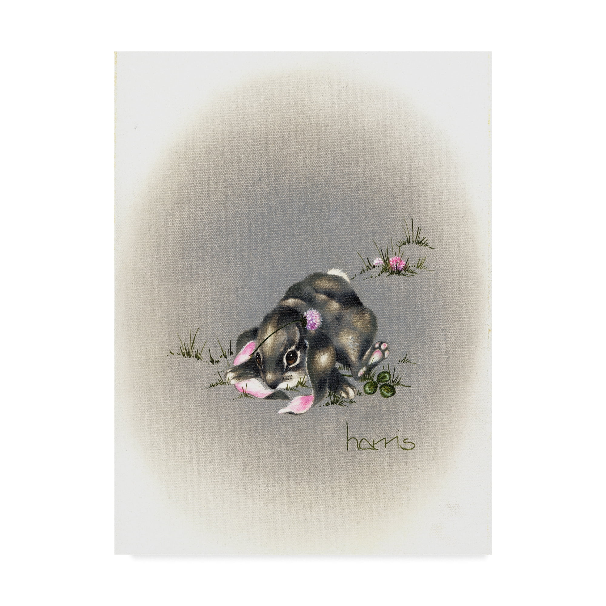 Trademark Fine Art 'Ear We Go Again' Canvas Art by Peggy Harris