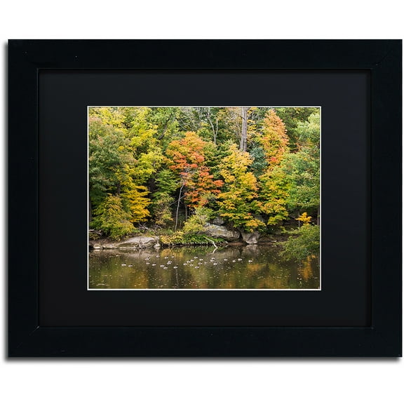 Trademark Fine Art "Early Fall" Canvas Art by Kurt Shaffer, Black Matte, Black Frame