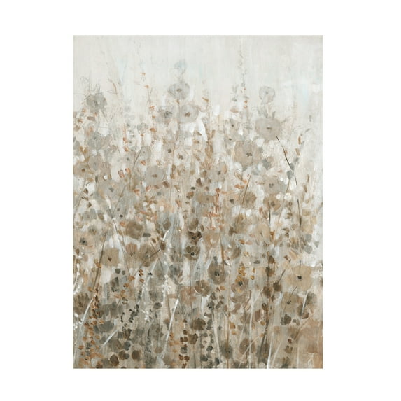Trademark Fine Art Tim O'Toole Early Fall Flowers Ii Canvas Wall Art - 24x32