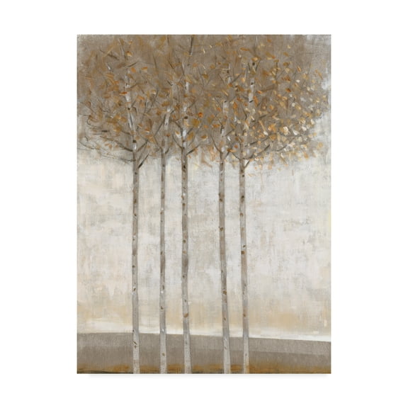 Trademark Fine Art 'Early Fall II' Canvas Art by Tim OToole