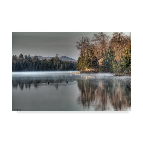 Trademark Fine Art 'Early Morning Swim Forest' Canvas Art by Ian Tornquist