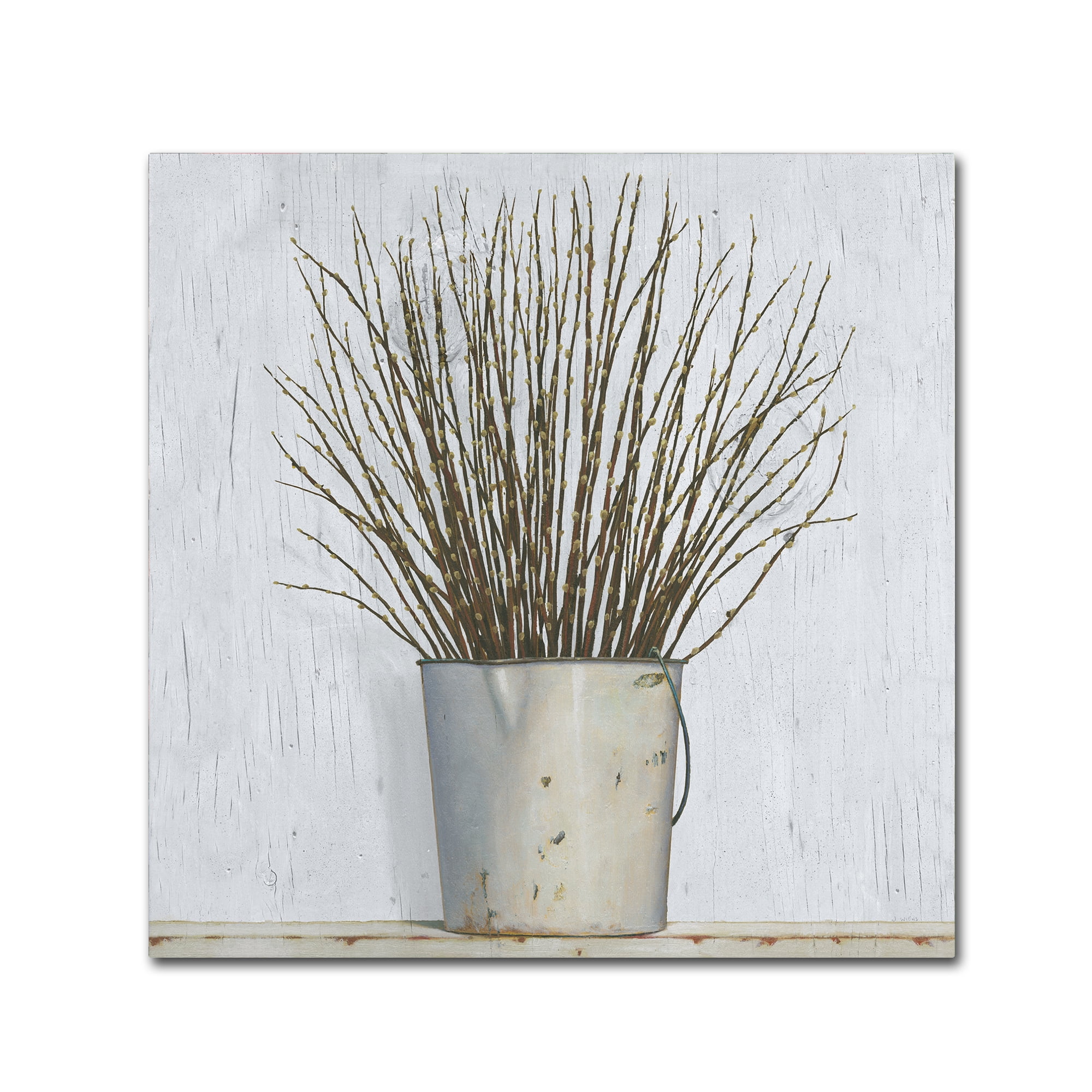 Trademark Fine Art 'Early Spring' Canvas Art by James Wiens