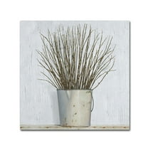 Trademark Fine Art 'Early Spring' Canvas Art by James Wiens