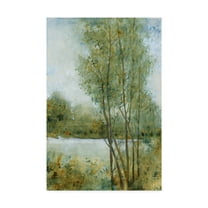 Trademark Fine Art 'Early Spring I' Canvas Art by Tim OToole