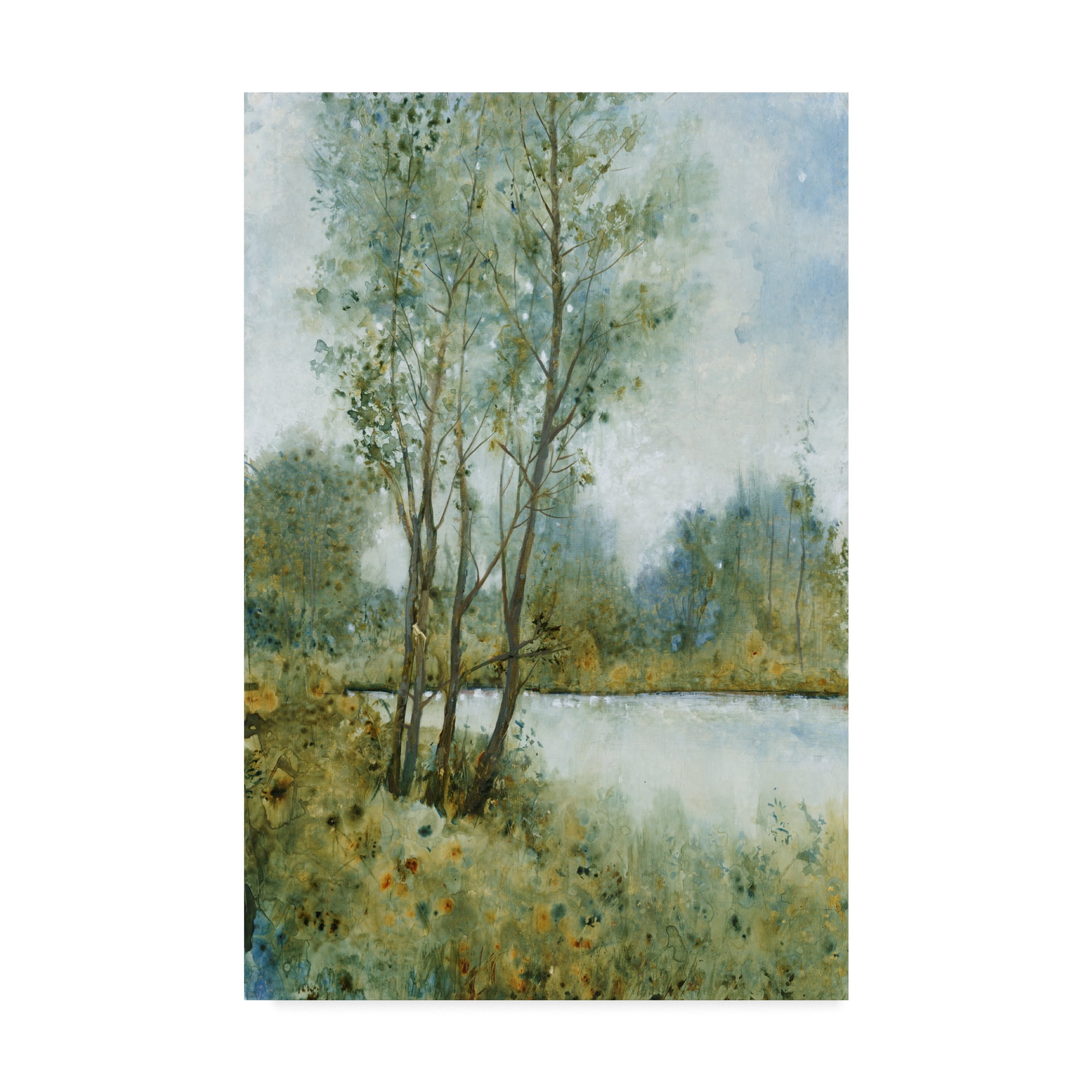 Trademark Fine Art 'Early Spring II' Canvas Art by Tim OToole