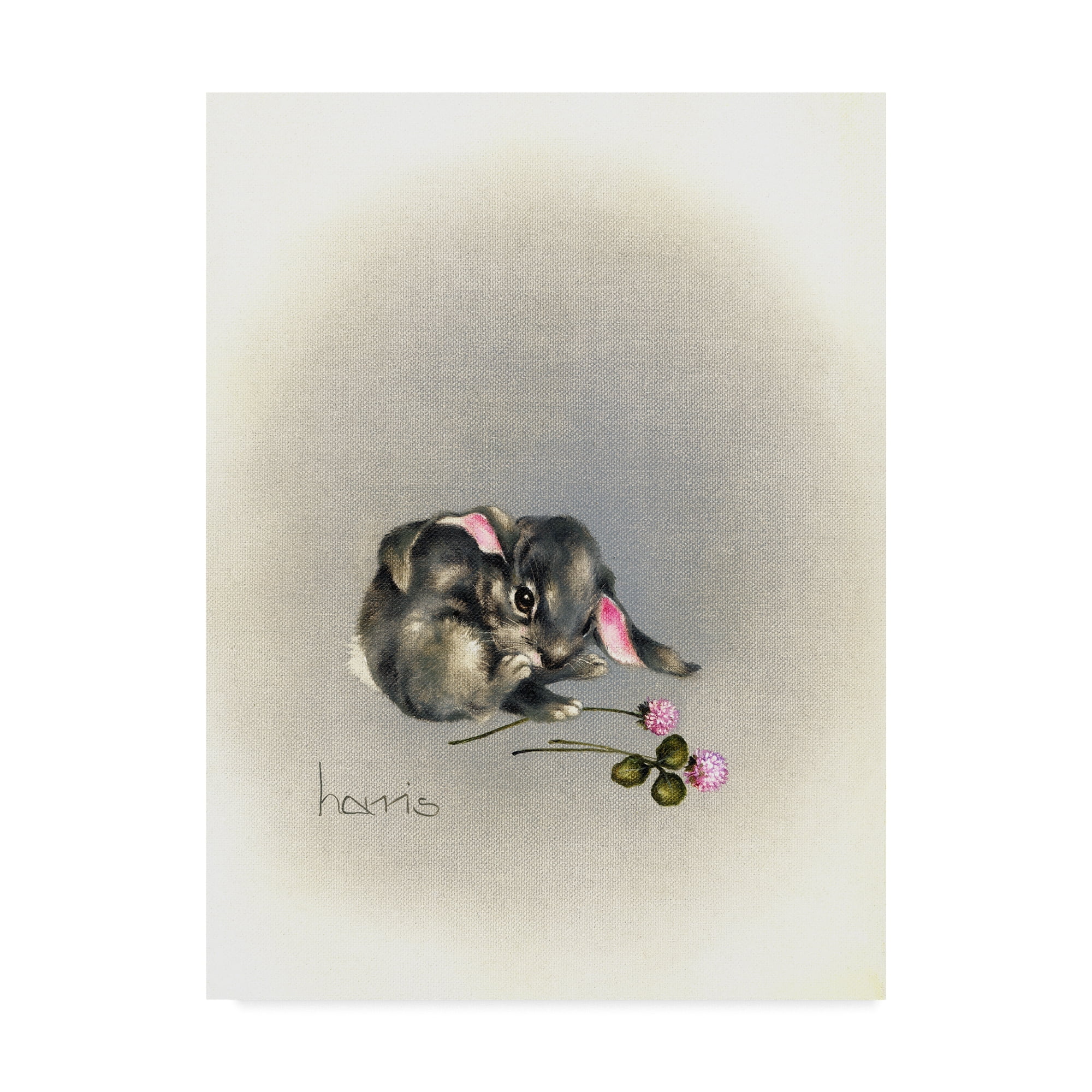 Trademark Fine Art 'Ears Lookin At You Kid' Canvas Art by Peggy Harris
