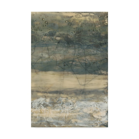 Trademark Fine Art 'Earthen Lines II' Canvas Art by Jennifer Goldberger