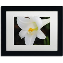Trademark Fine Art "Easter" Canvas Art by Monica Mize, White Matte, Black Frame
