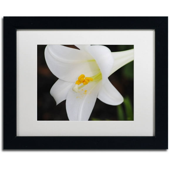 Trademark Fine Art "Easter" Canvas Art by Monica Mize, White Matte, Black Frame