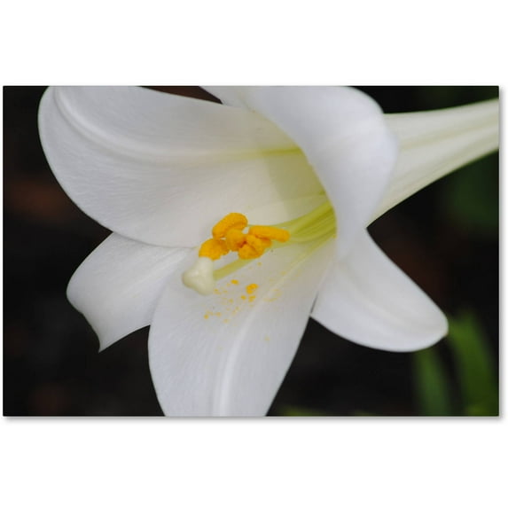 Trademark Fine Art "Easter" Canvas Art by Monica Mize