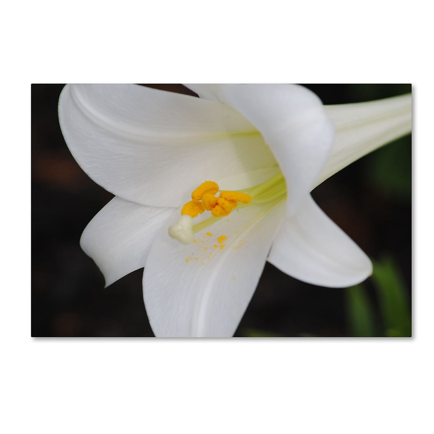 Trademark Fine Art "Easter" Canvas Art by Monica Mize