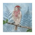 thumbnail image 1 of Trademark Fine Art 'Eastern Songbird I' Canvas Art by Alicia Ludwig, 1 of 3
