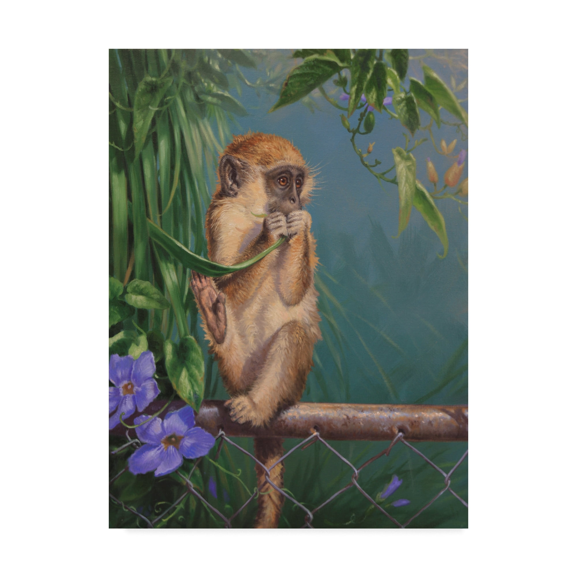 Trademark Fine Art 'Eating A Leaf' Canvas Art by Michael Jackson