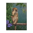 thumbnail image 1 of Trademark Fine Art 'Eating A Leaf' Canvas Art by Michael Jackson, 1 of 3