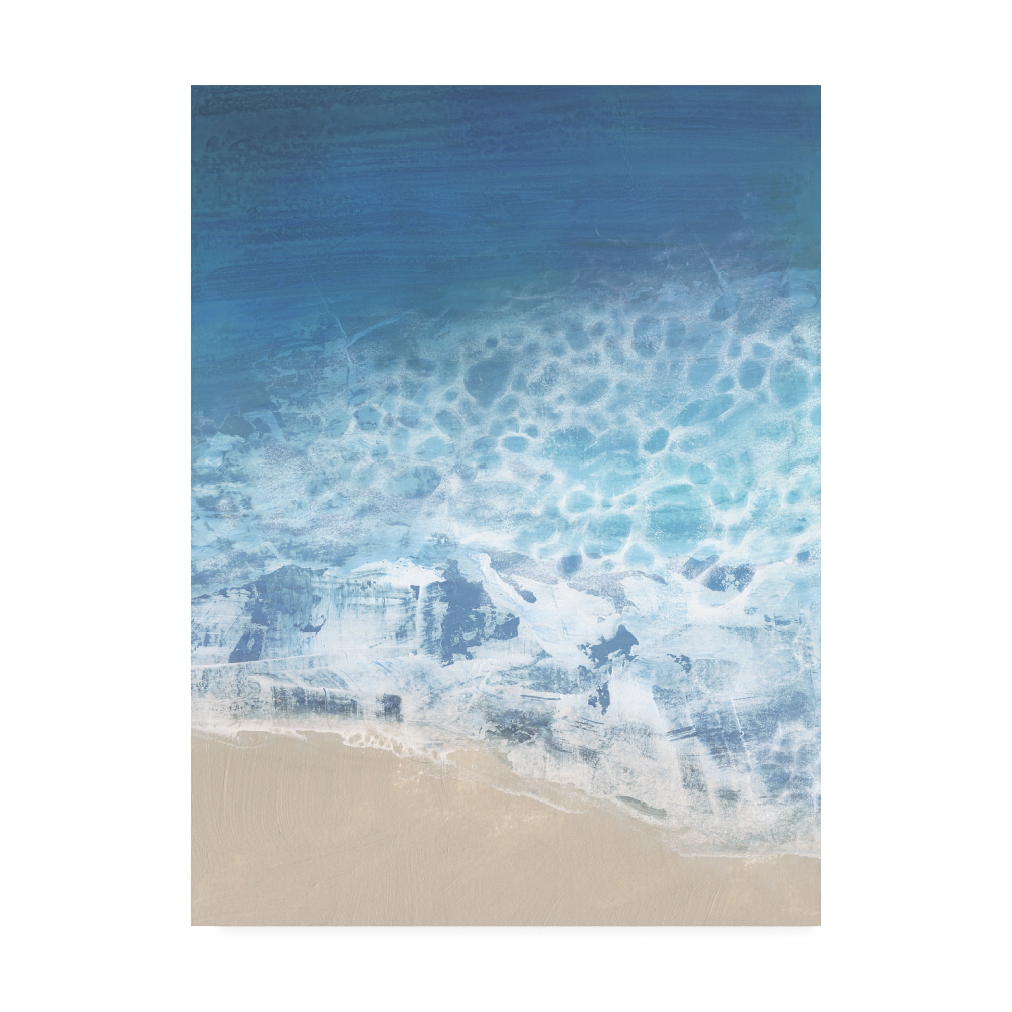 Trademark Fine Art 'Ebb And Flow II' Canvas Art by Victoria Borges