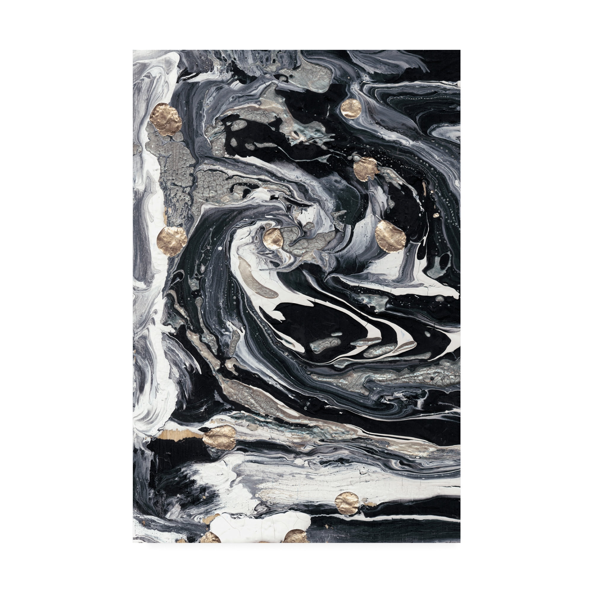 Trademark Fine Art 'Ebony And Ivory I' Canvas Art by Alicia Ludwig