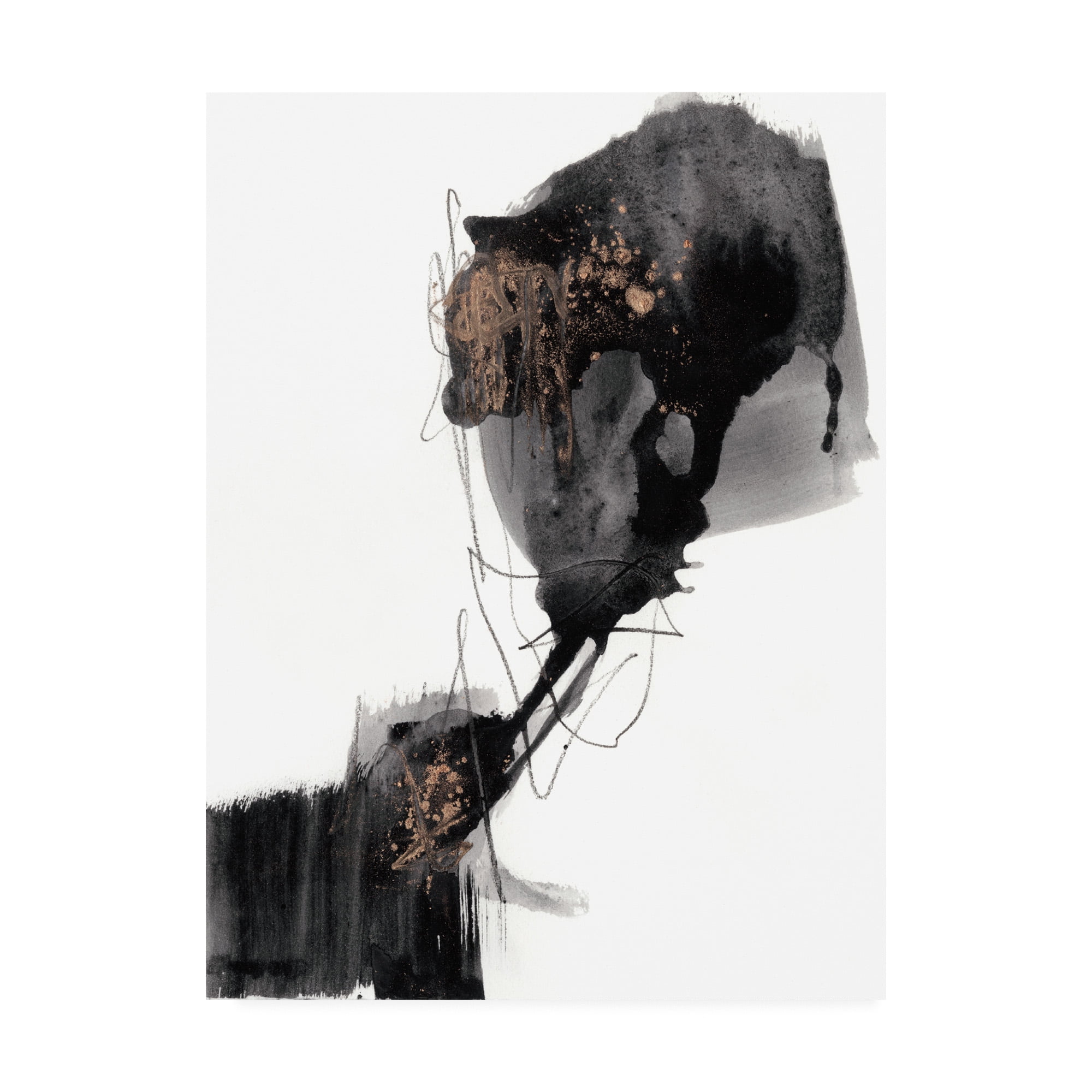 Trademark Fine Art 'Ebony Step I' Canvas Art by Jennifer Goldberger