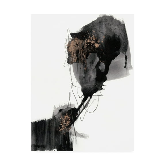 Trademark Fine Art 'Ebony Step I' Canvas Art by Jennifer Goldberger