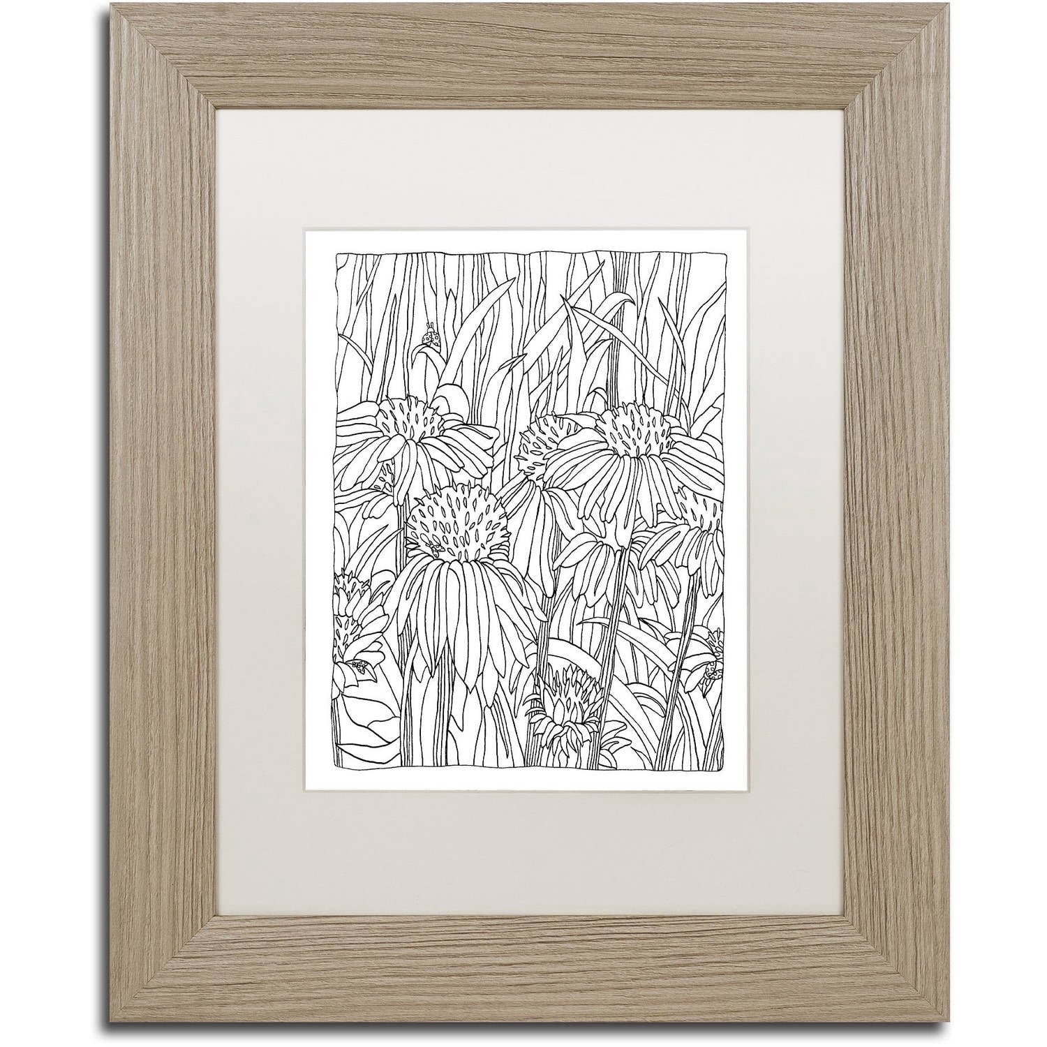 Trademark Fine Art "Echinacea" Canvas Art by Kathy G. Ahrens, White Matte, Birch Frame