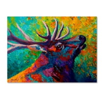 Trademark Fine Art 'Echo Elk' Canvas Art by Marion Rose