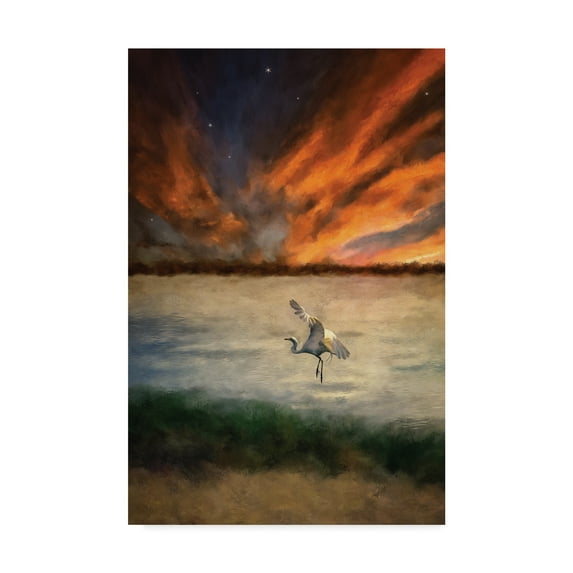 Trademark Fine Art 'Egret at Sunset' Canvas Art by Lois Bryan