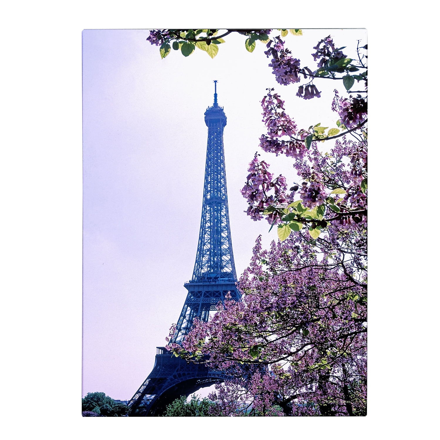 Trademark Fine Art 'Eiffel Tower with Blossoms' Canvas Art by Kathy Yates