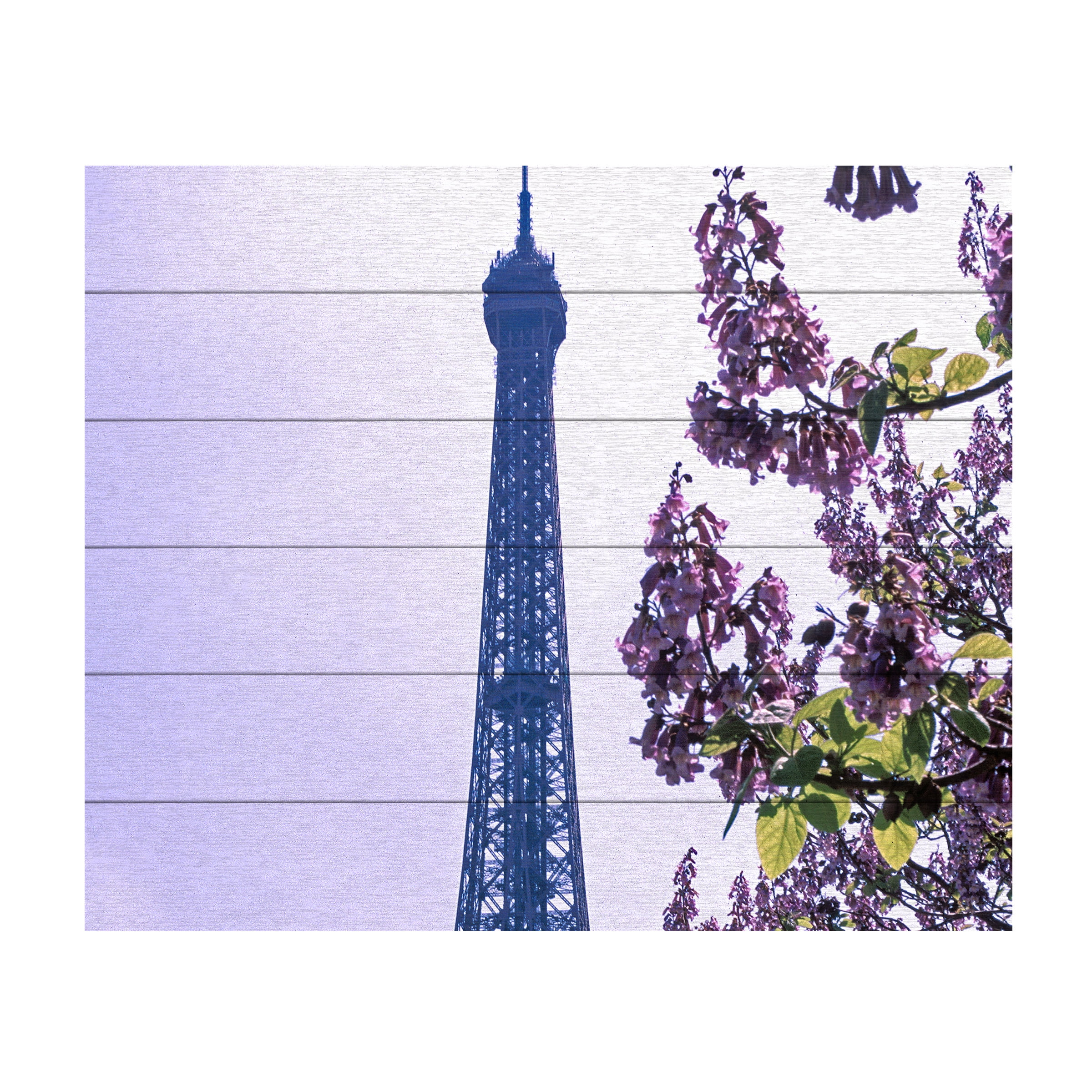 Trademark Fine Art 'Eiffel Tower with Blossoms' Wooden Wall Art Art by Kathy Yates