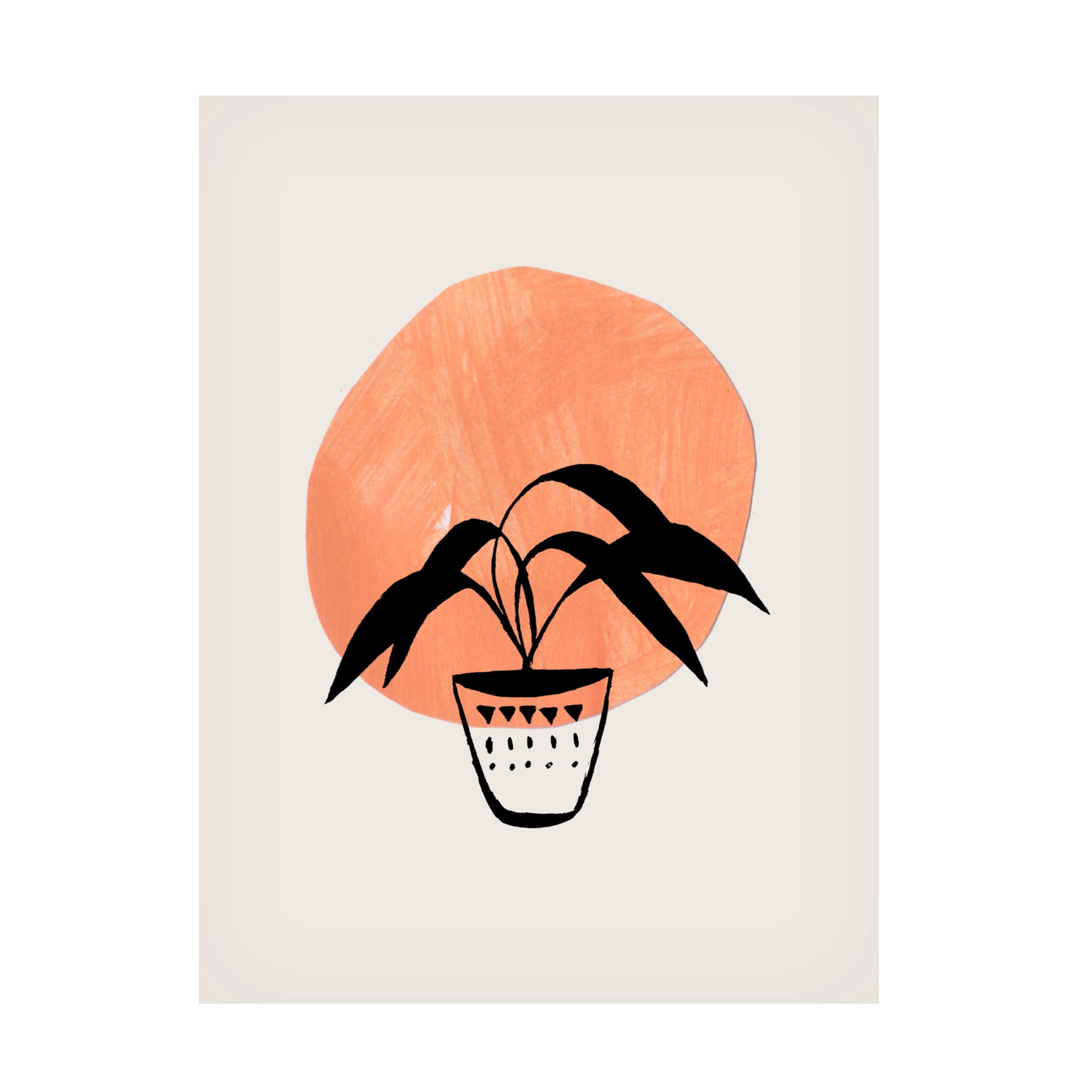 Trademark Fine Art Ejaaz Haniff  Clay Pot Canvas Wall Art