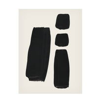 Trademark Fine Art Ejaaz Haniff  Thunder Three Canvas Wall Art