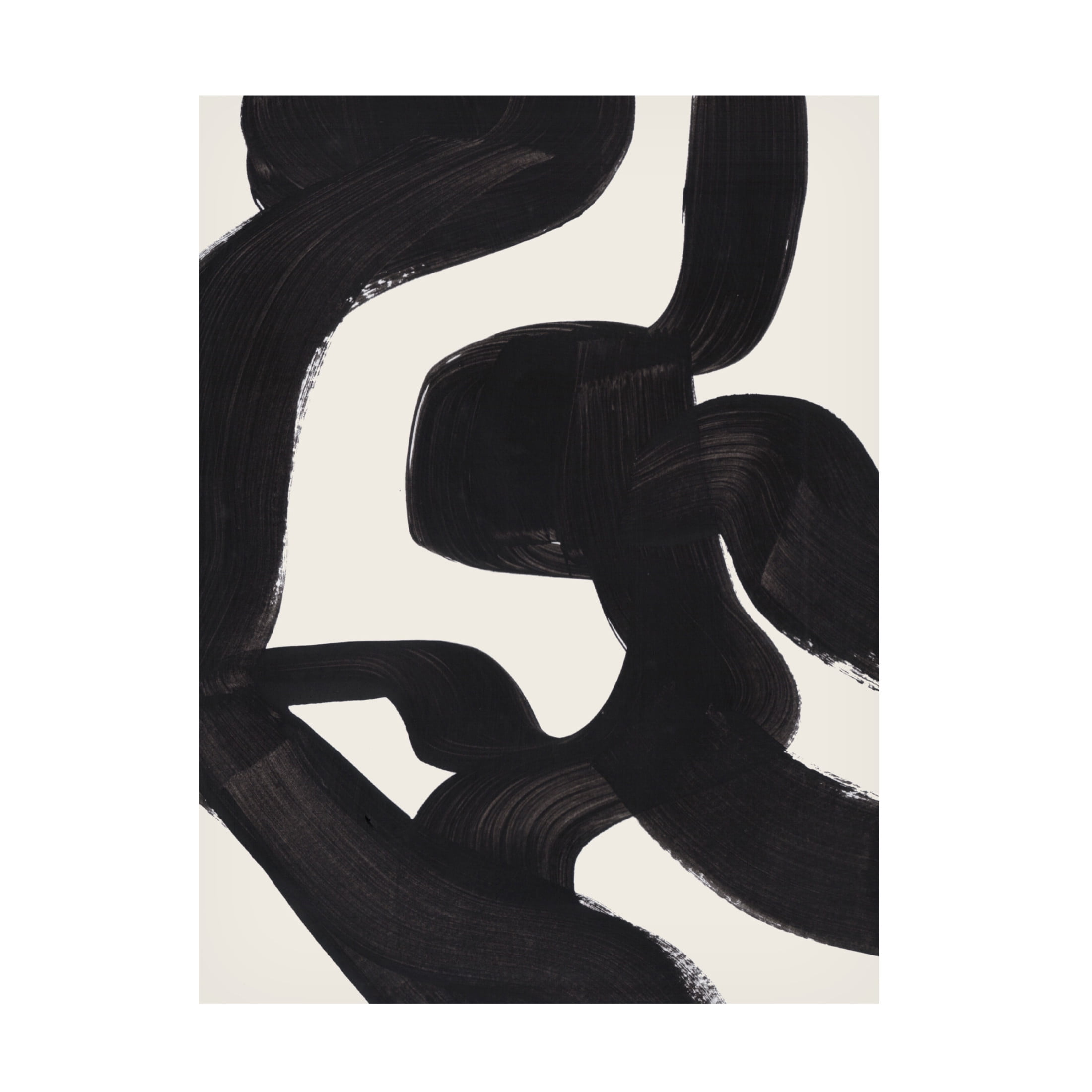 Trademark Fine Art Ejaaz Haniff Zebra Canvas Wall Art
