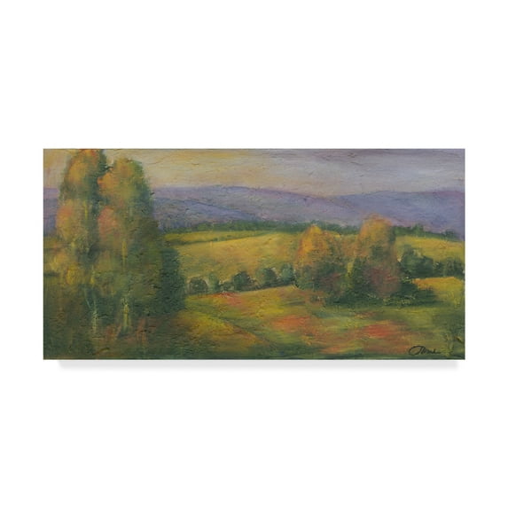 Trademark Fine Art 'El Dorado Lake I' Canvas Art by Joyce Combs