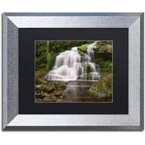 Trademark Fine Art 'Elakala Falls' Canvas Art by Michael Blanchette Photography, Black Matte, Silver Frame