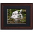 thumbnail image 1 of Trademark Fine Art 'Elakala Falls' Canvas Art by Michael Blanchette Photography, Black Matte, Wood Frame, 1 of 4