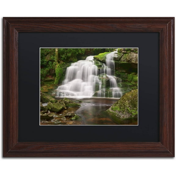 Trademark Fine Art 'Elakala Falls' Canvas Art by Michael Blanchette Photography, Black Matte, Wood Frame