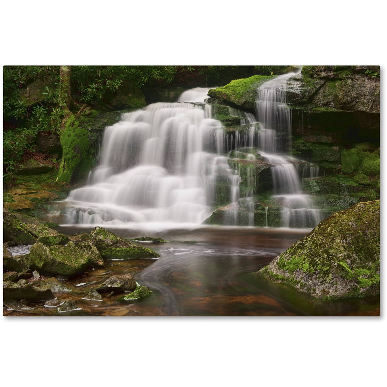 Trademark Fine Art 'Elakala Falls' Canvas Art by Michael Blanchette Photography