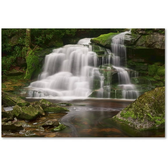 Trademark Fine Art 'Elakala Falls' Canvas Art by Michael Blanchette Photography