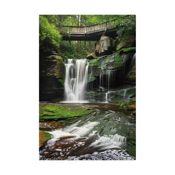 Trademark Fine Art 'Elakala Falls West I' Canvas Art by Alan Majchrowicz