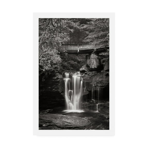 Trademark Fine Art 'Elakala Falls West II BW' Canvas Art by Alan Majchrowicz