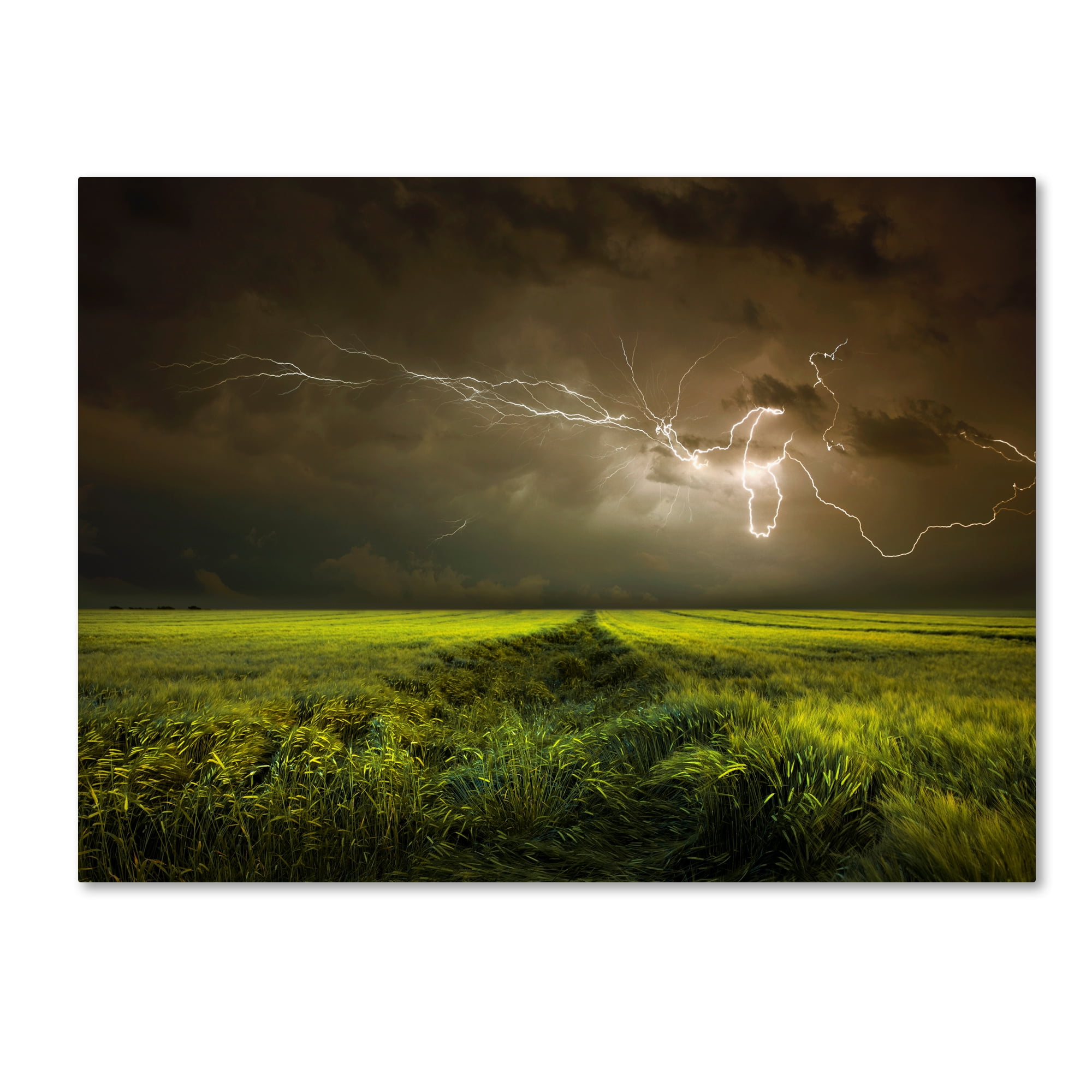 Trademark Fine Art 'Electrically In Summer' Canvas Art by Franz Schumacher