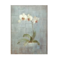 Trademark Fine Art 'Elegant Orchid II' Canvas Art by Danhui Nai