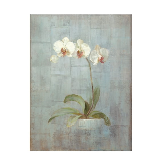 Trademark Fine Art 'Elegant Orchid II' Canvas Art by Danhui Nai