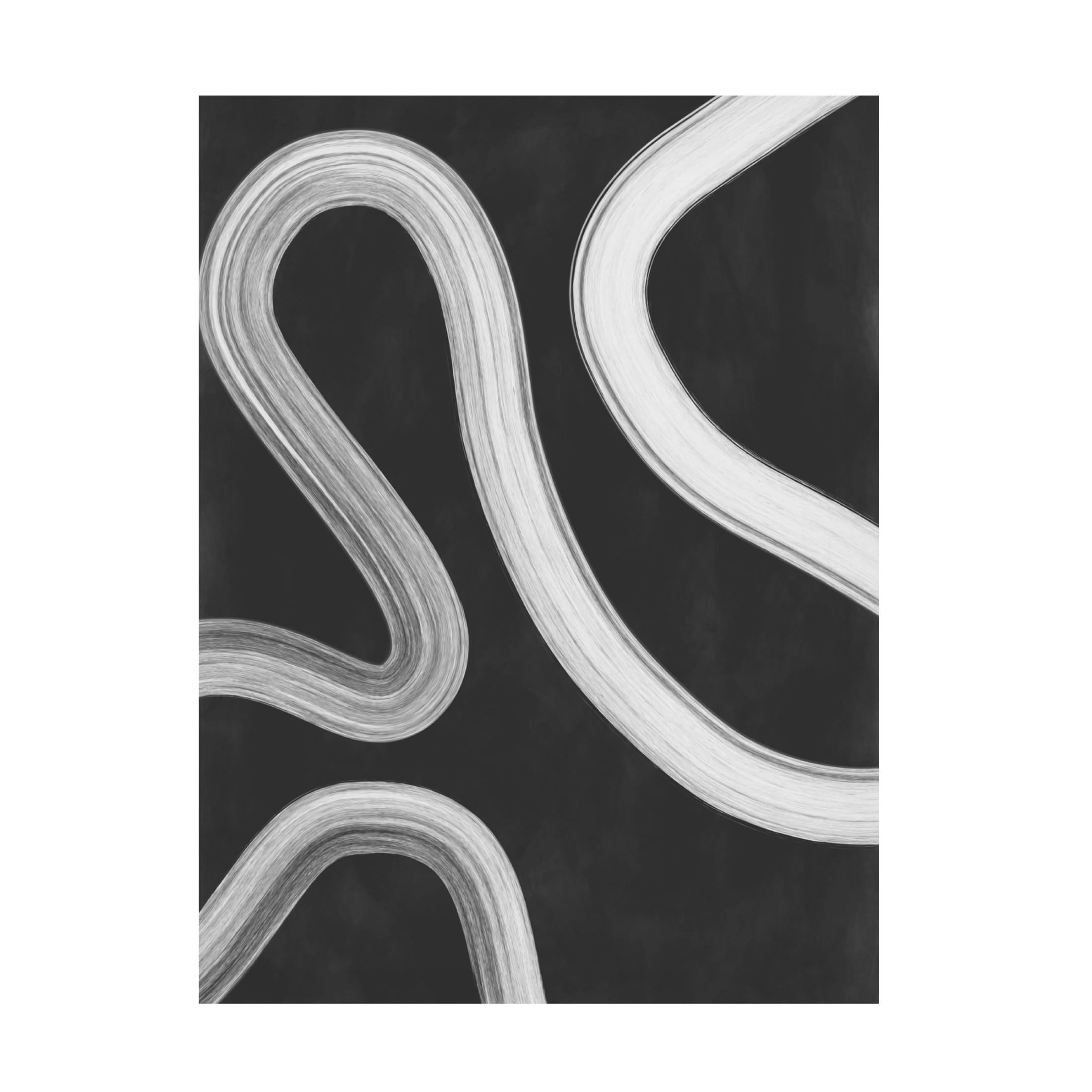 Trademark Fine Art Elena Ristova  blackawhite43 Canvas Wall Art