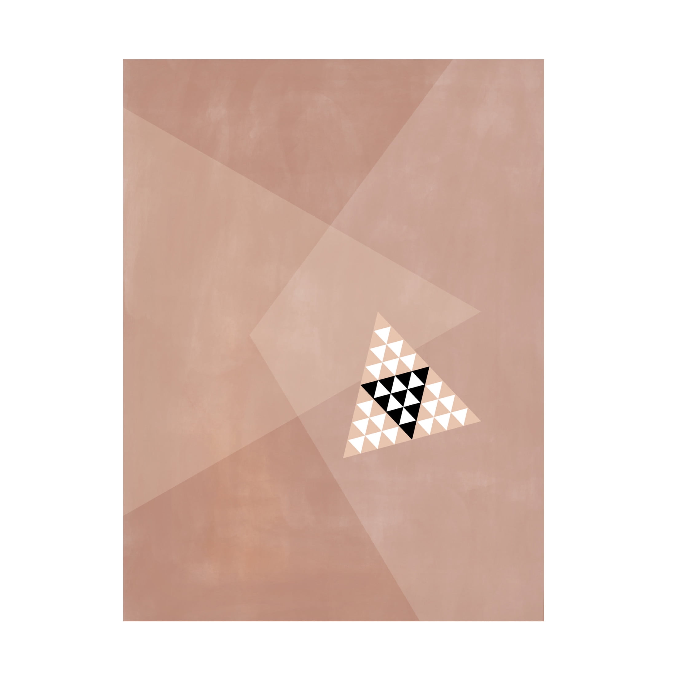 Trademark Fine Art Elena Ristova softpink19 Canvas Wall Art