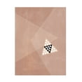 thumbnail image 1 of Trademark Fine Art Elena Ristova softpink19 Canvas Wall Art, 1 of 4