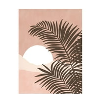 Trademark Fine Art Elena Ristova  softpink33 Canvas Wall Art