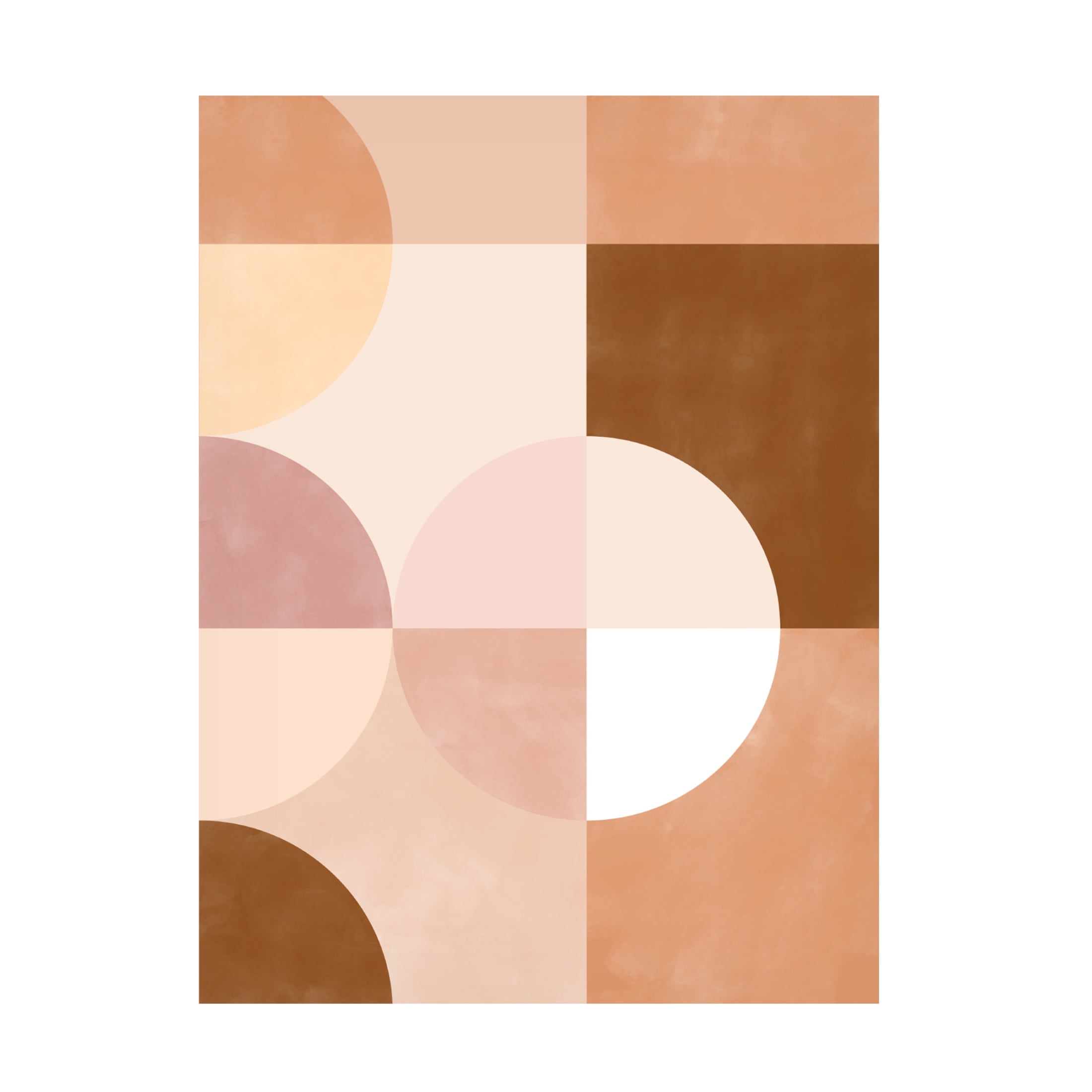 Trademark Fine Art Elena Ristova  softpink37 Canvas Wall Art